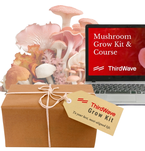 Third Wave Mushroom Grow Kit